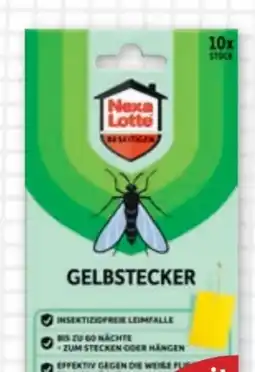 PENNY Nexa Lotte Gelbstecker Angebot