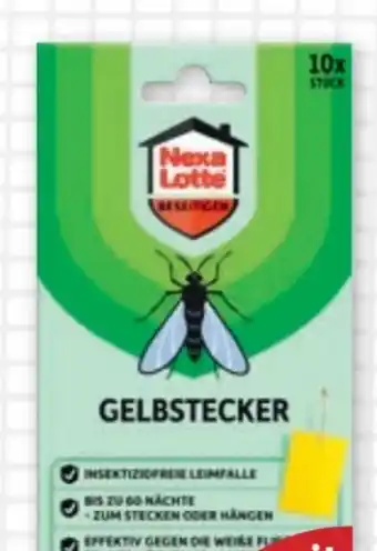 PENNY Nexa Lotte Gelbstecker Angebot