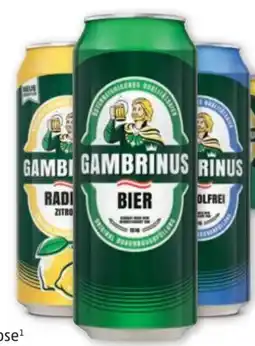 PENNY Gambrinus Bier Angebot