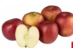 Transgourmet Äpfel Braeburn Angebot