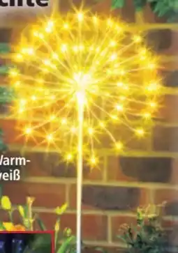 Norma I-Glow LED-Solar-Leuchte Pusteblume Angebot