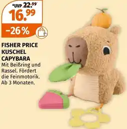Müller Fisher price kuschel capybara Angebot