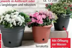 Norma Powertec Garden Blumentopf Flora Angebot