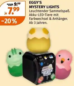Müller Mystery lights Angebot