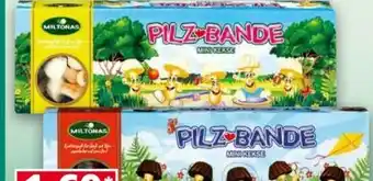 Norma Miltonas Pilz-Bande Angebot
