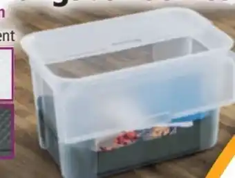 Norma Toptex Aufbewahrungsbox Angebot