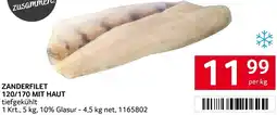Transgourmet Zanderfilet Angebot