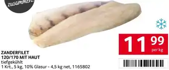 Transgourmet Zanderfilet Angebot
