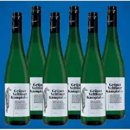 Lidl Gr. Veltliner Kamptal DAC Lidl APP Preis Angebot