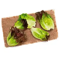 Lidl Salatherzen bicolor aus Österreich Lidl Angebot