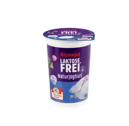 Lidl Laktosefreies Naturjoghurt Lidl Angebot
