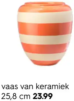 HEMA Vaas van keramiek Angebot