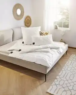 XXXLutz Ganzjahresdecke „Alcando“ 3279010401 XXXLutz Angebot