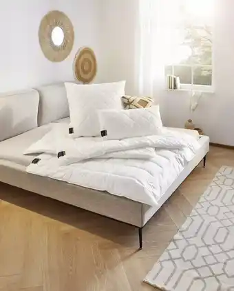 XXXLutz Ganzjahresdecke „Alcando“ 3279010401 XXXLutz Angebot