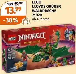 Müller Lloyds grüner walddrache Angebot