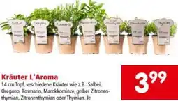 Interspar Kräuter L'Aroma Angebot