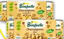Norma Bonduelle Champignons Angebot