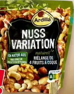 Norma Ardilla Nussvariation Angebot
