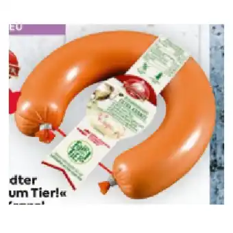Billa Fair zum Tier! Angebot