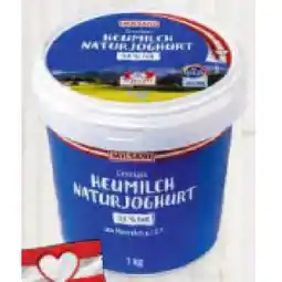 Hofer Heumilch Naturjoghurt HOFER Angebot