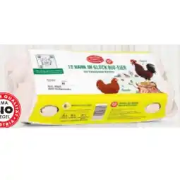Hofer Bio-Eier aus Freilandhaltung Gr. M/L HOFER Angebot