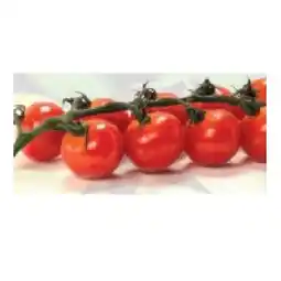 Hofer Bio-Rispencherrytomaten aus Österreich HOFER Angebot