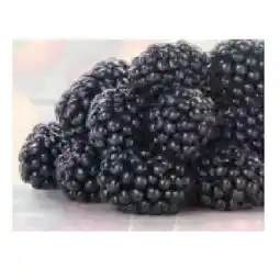 Hofer Brombeeren HOFER Angebot