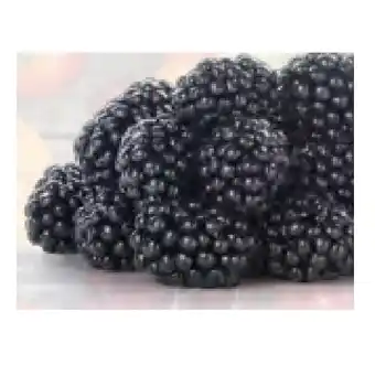 Hofer Brombeeren HOFER Angebot