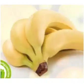 Hofer Bananen HOFER Angebot