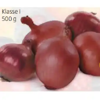 Hofer Bio-Zwiebeln rot HOFER Angebot