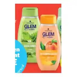 Hofer Glem Vital Shampoo div. Sorten HOFER Angebot