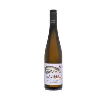 Hofer Grüner Veltliner Steinfeder 11,5% Vol. HOFER Angebot