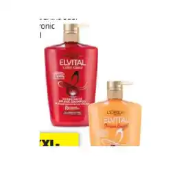 Hofer Elvital Shampoo div. Sorten HOFER Angebot