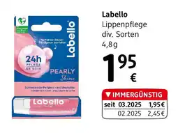 dm Lippenpflege pearly shine Angebot