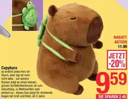 Maximarkt Capybara Angebot
