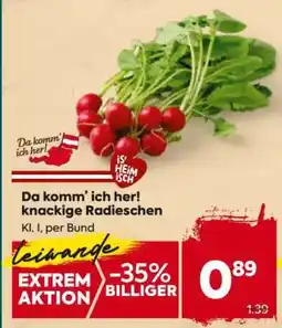 Billa Da komm’ ich her! knackige Radieschen Angebot
