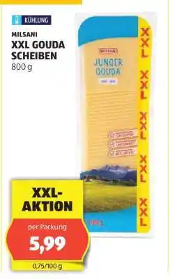 Hofer MILSANI XXL GOUDA SCHEIBEN Angebot