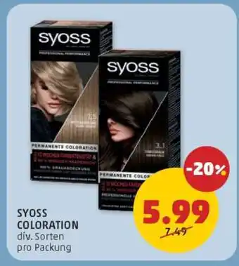 PENNY SYOSS COLORATION Angebot