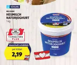 Hofer MILSANI HEUMILCH NATURJOGHURT Angebot
