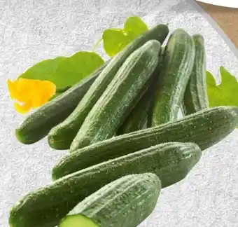 Spar Spar Gurken Angebot
