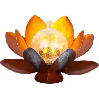 Hellweg Flector LED-Solar-Dekoleuchte Lotus Angebot