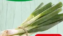 Spar Jungzwiebeln Angebot
