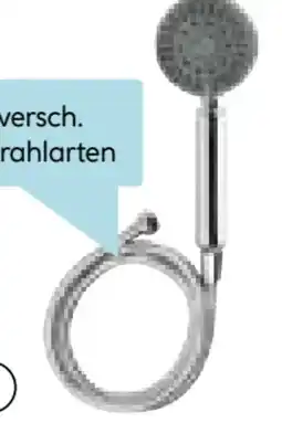 Hellweg Valblue Handbrause-Set Esla Angebot