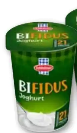 ADEG Schärdinger Bifidus Aktiv Natur Angebot