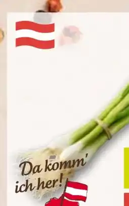 ADEG Da komm' ich her Jungzwiebel Angebot