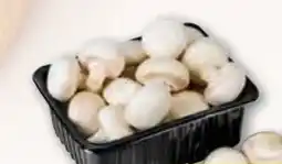 ADEG Champignons Angebot