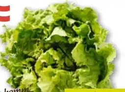 ADEG Da komm' ich her Krauthäuptelsalat Angebot