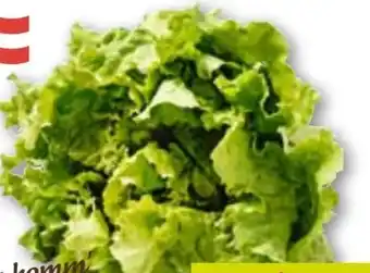 ADEG Da komm' ich her Krauthäuptelsalat Angebot