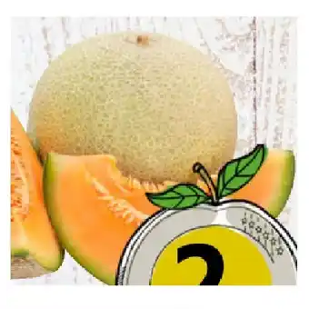 Spar Süße, saftige Cantaloupe Melone SPAR Angebot