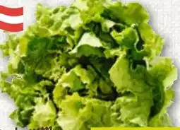 ADEG Da komm' ich her Grazer Krauthäuptelsalat Angebot